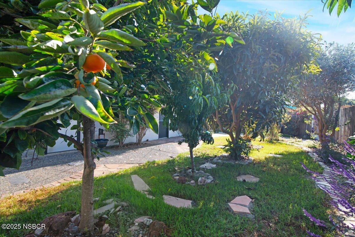 321 North Sixth Street Lompoc, CA 93436 - Photo 24 of 30 a view of a tree with yard