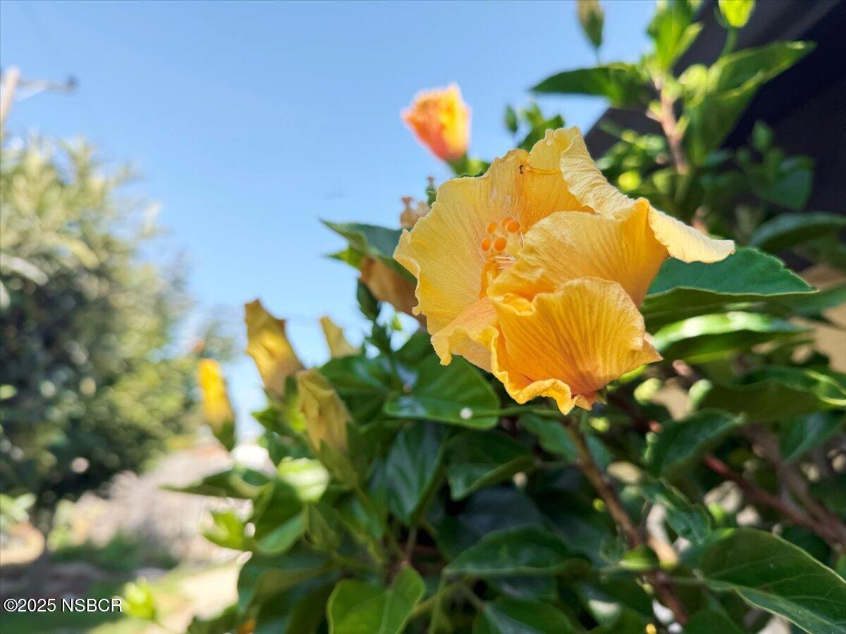 321 North Sixth Street Lompoc, CA 93436 - Photo 28 of 30 a view of plant