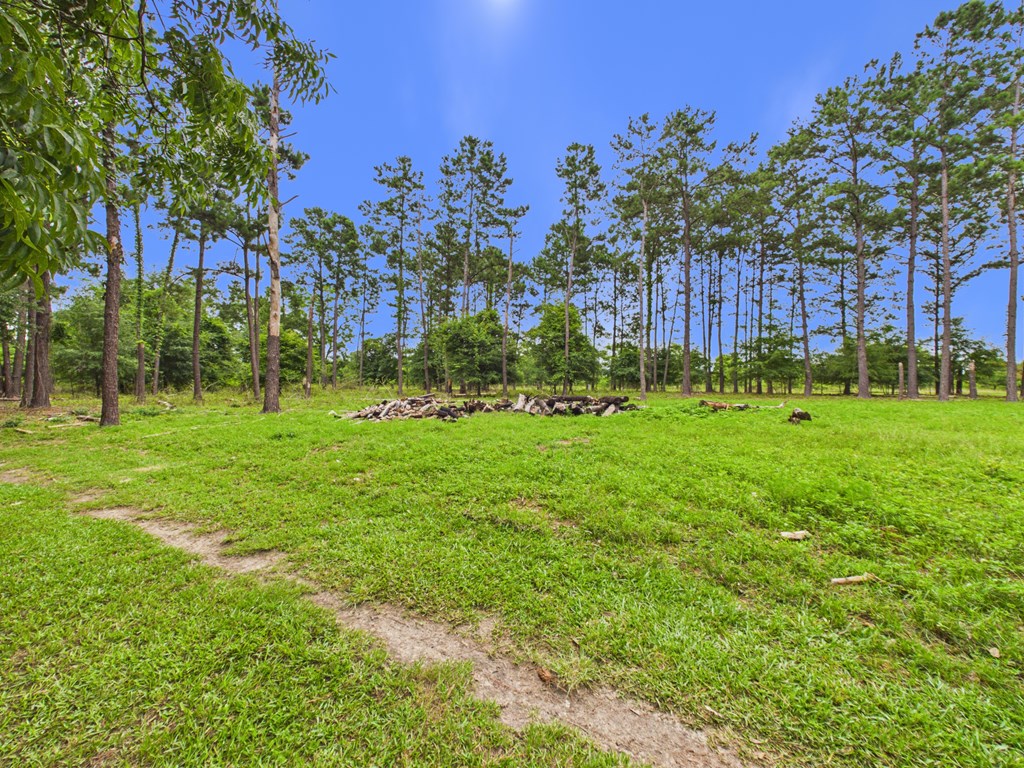 160 Bell Sister Road Lumpkin, GA 31815 - Photo 4 of 23