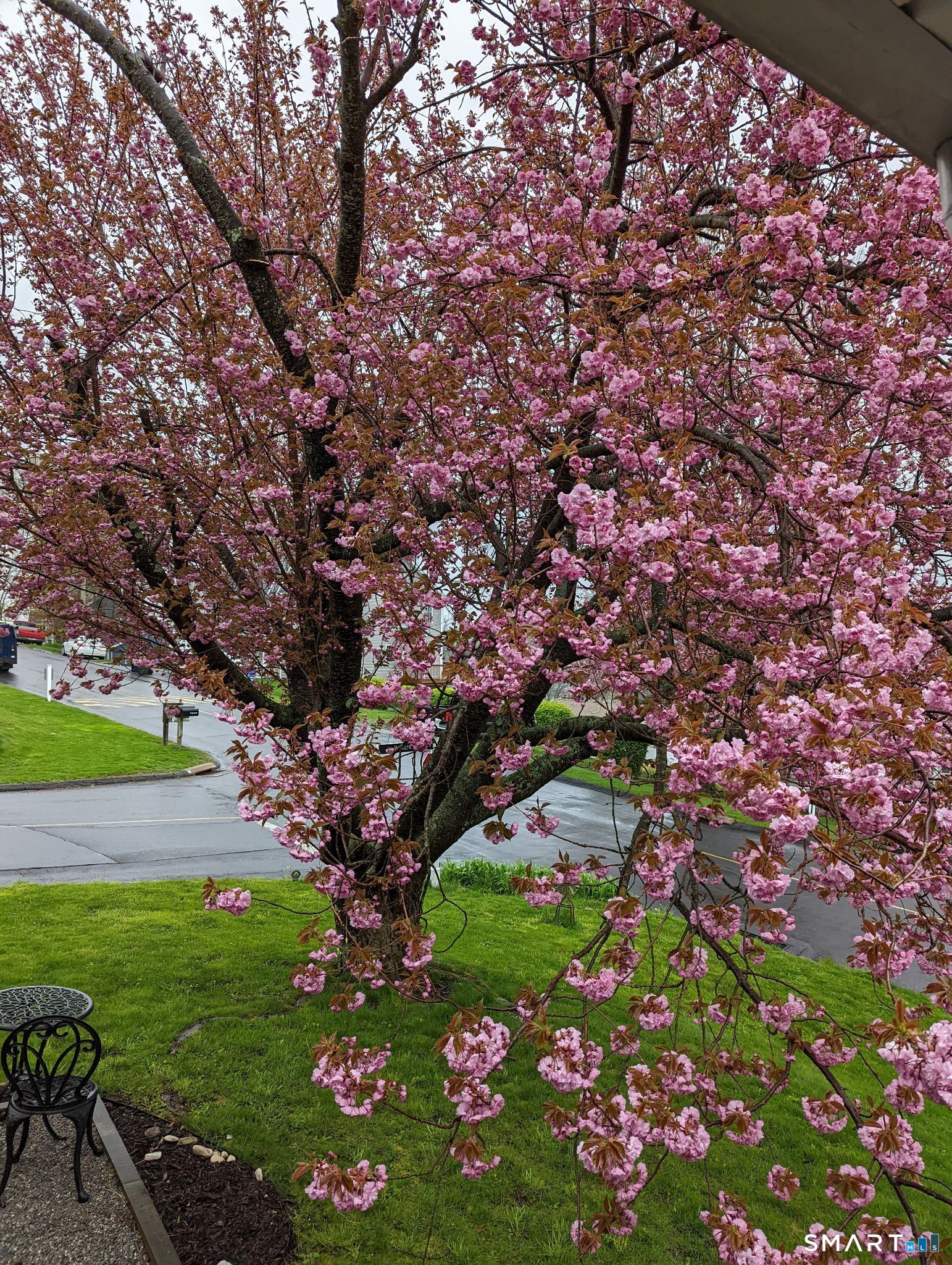 29 Longview Drive Brookfield, CT 06804 - Photo 12 of 15