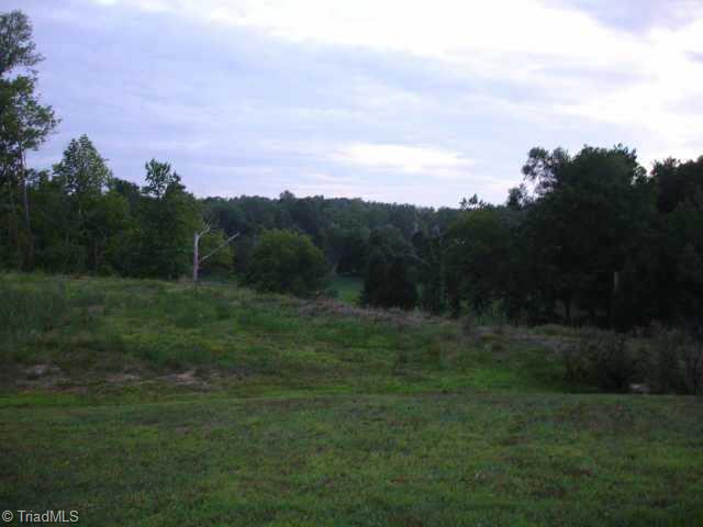 779 Spinning Wheel Point High Point, NC 27265 - Photo 7 of 7 Other. View of large back yard!