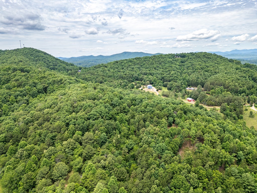 1 Stormy Ridge Brasstown, NC 28902 - Photo 15 of 20
