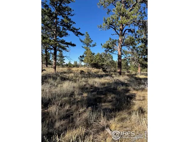 a picture of a wall with a tree