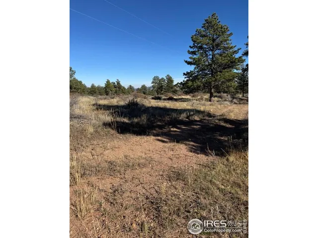 a close up of a tree