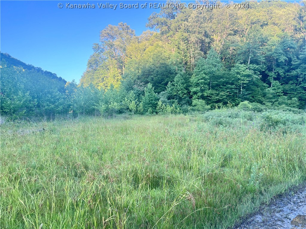 0 Double Camp Branch Road Matewan, WV 25678 - Photo 4 of 11 Gallery Image 4