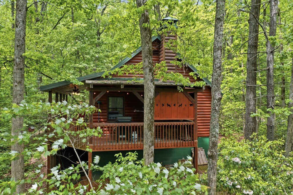 1564 Big Ben Road Ellijay, GA 30540 - Photo 34 of 63 Gallery Image 34