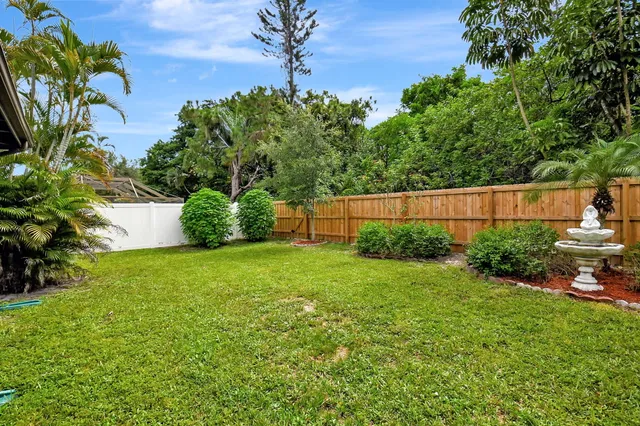 a view of a backyard with plants and large trees