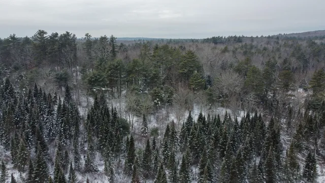 $225,000 | 9-2a South Tyler Road, Pittston, ME 04345