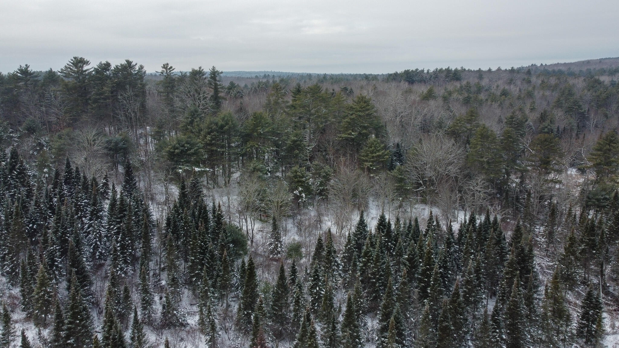 9-2a South Tyler Road Pittston, ME 04345 - Photo 10 of 20 10