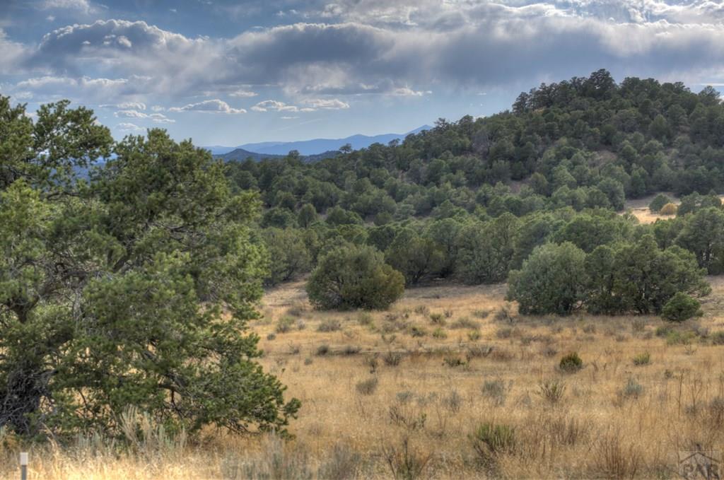 12780 Picketwire Road Trinidad, CO 81082 - Photo 75 of 79 Gallery Image 75