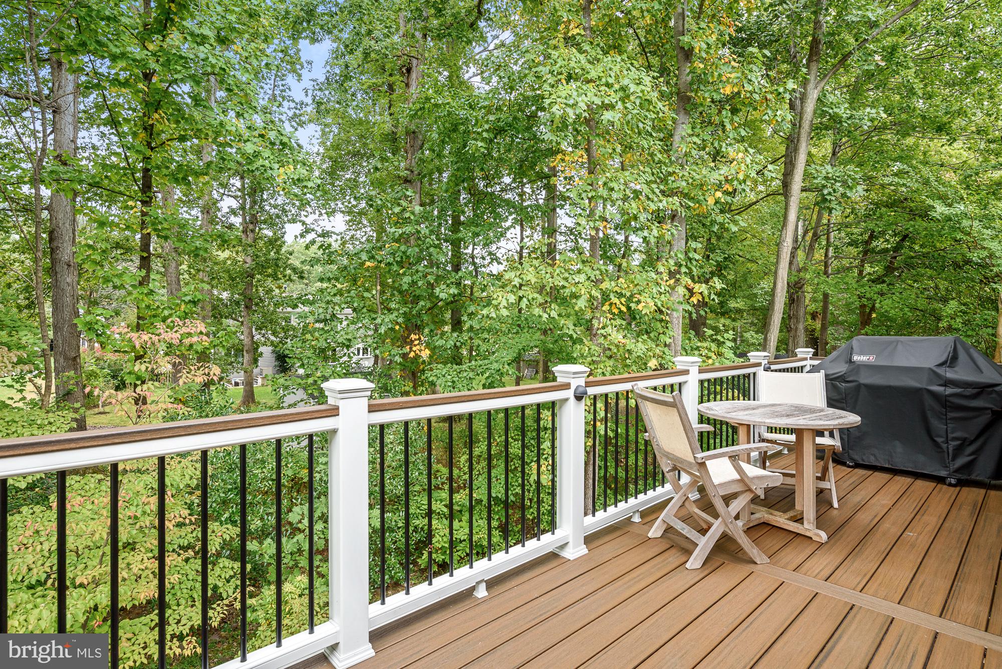 12378 Brown Fox Way Reston, VA 20191 - Photo 22 of 45 Gallery Image 22