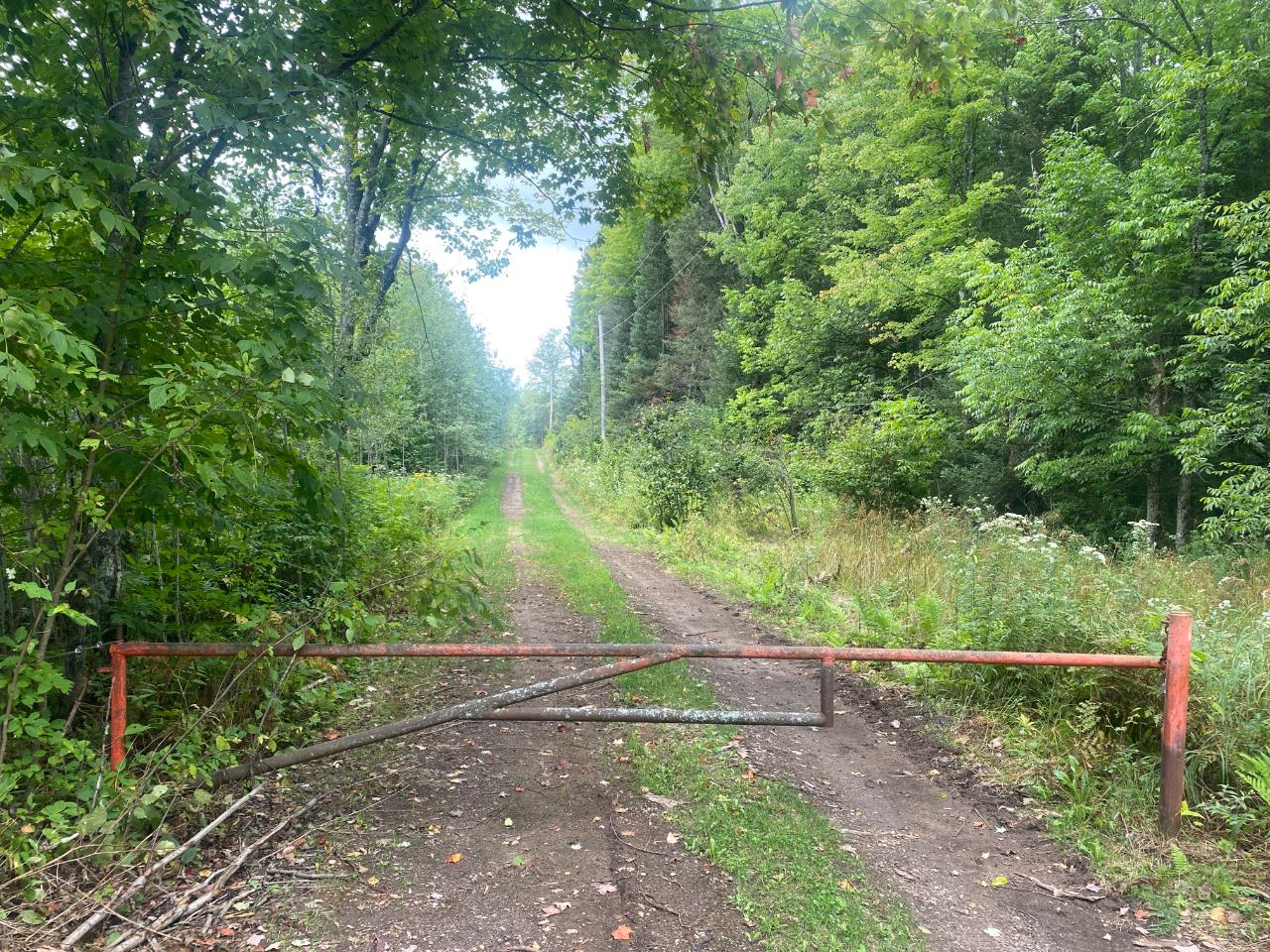 On Dick Samz Road Argonne, WI 54511 - Photo 5 of 5 Gallery Image 5