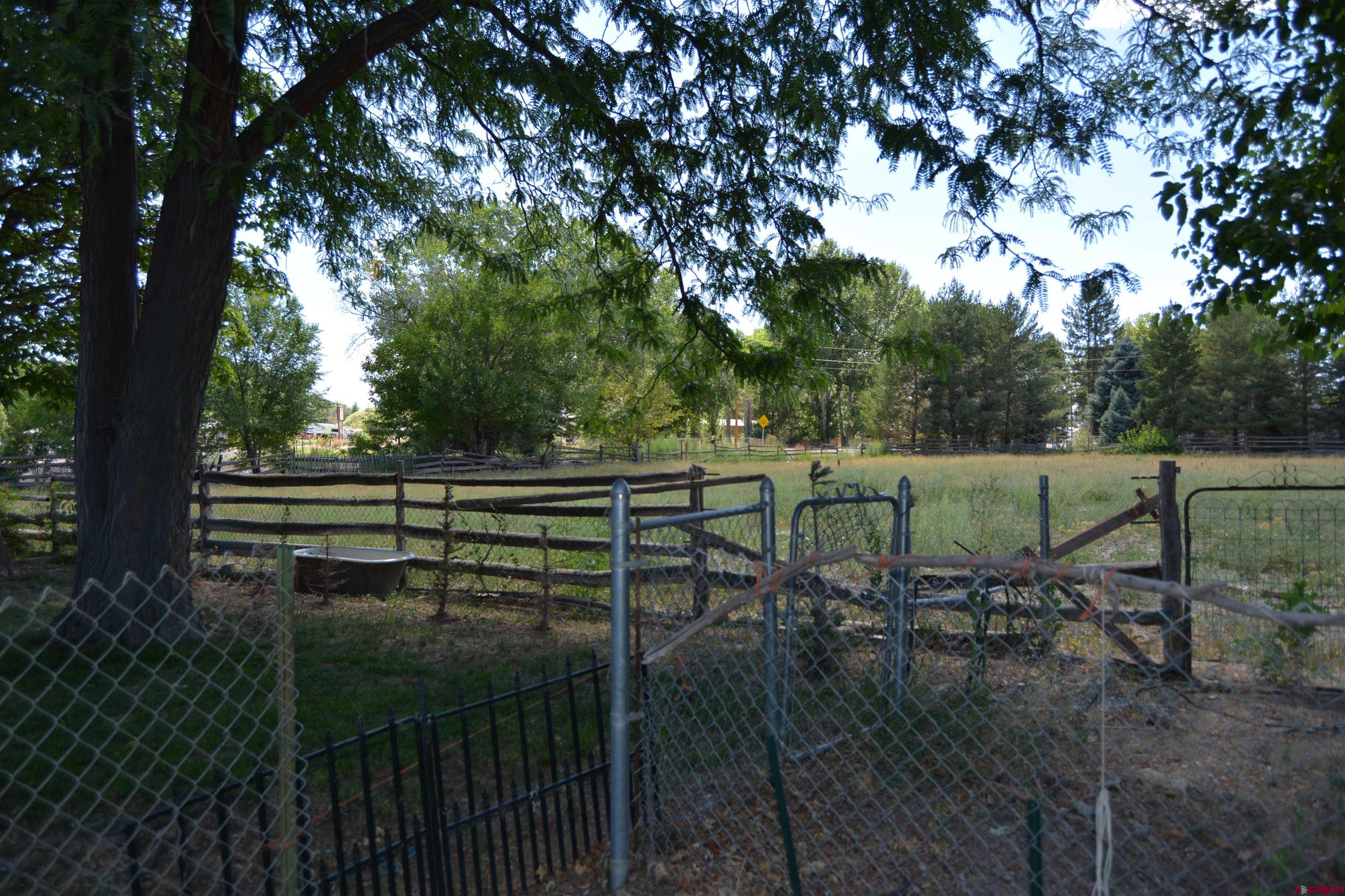 760 1575th Road Delta, CO 81416 - Photo 5 of 27 a view of backyard with trees