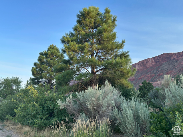 9 Chamisa Lane Moab, UT 84532 - Photo 30 of 75