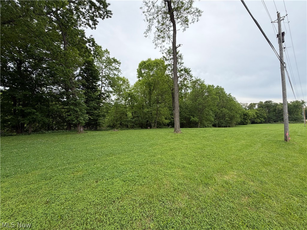 9098 Diagonal Road Streetsboro, OH 44241 - Photo 3 of 25 Expansive green lawn surrounded by mature trees