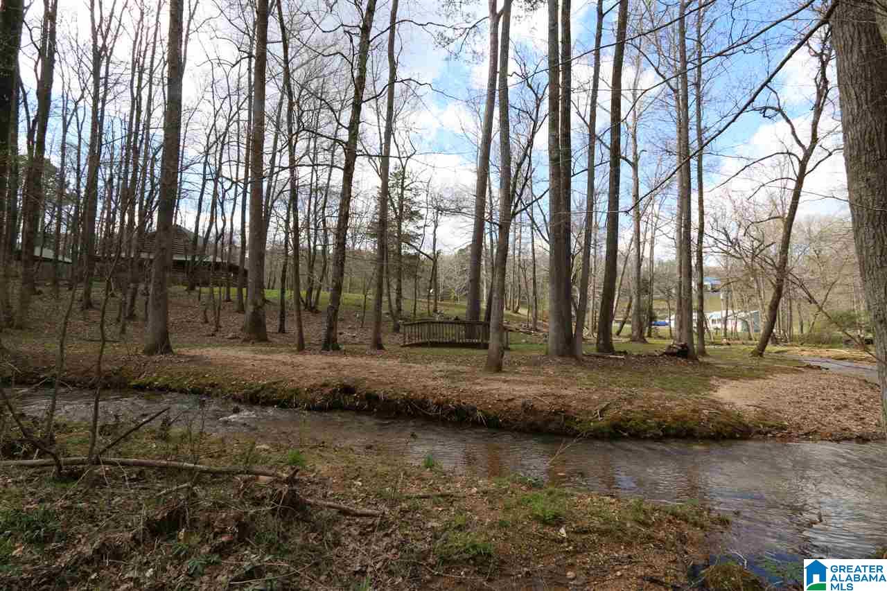 67 Hill Top Road Springville, AL 35146 - Photo 13 of 39