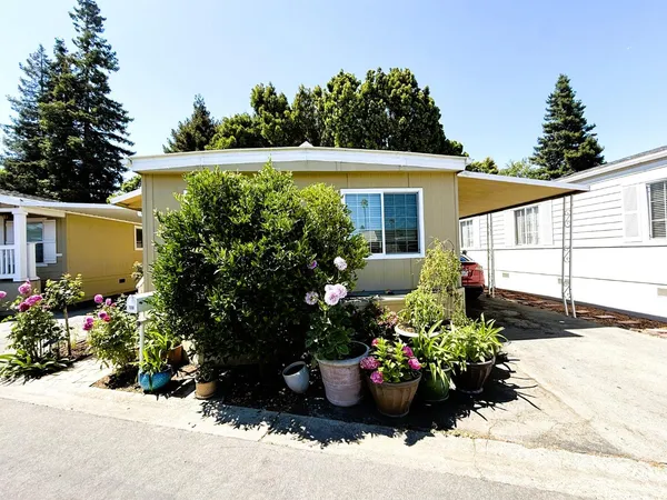 a view of a potted plants in front of a house