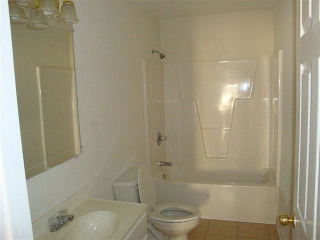 120 Cosmos Lane Greer, SC 29651 - Photo 7 of 18 Gallery Image 7