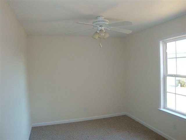 120 Cosmos Lane Greer, SC 29651 - Photo 10 of 18 Gallery Image 10
