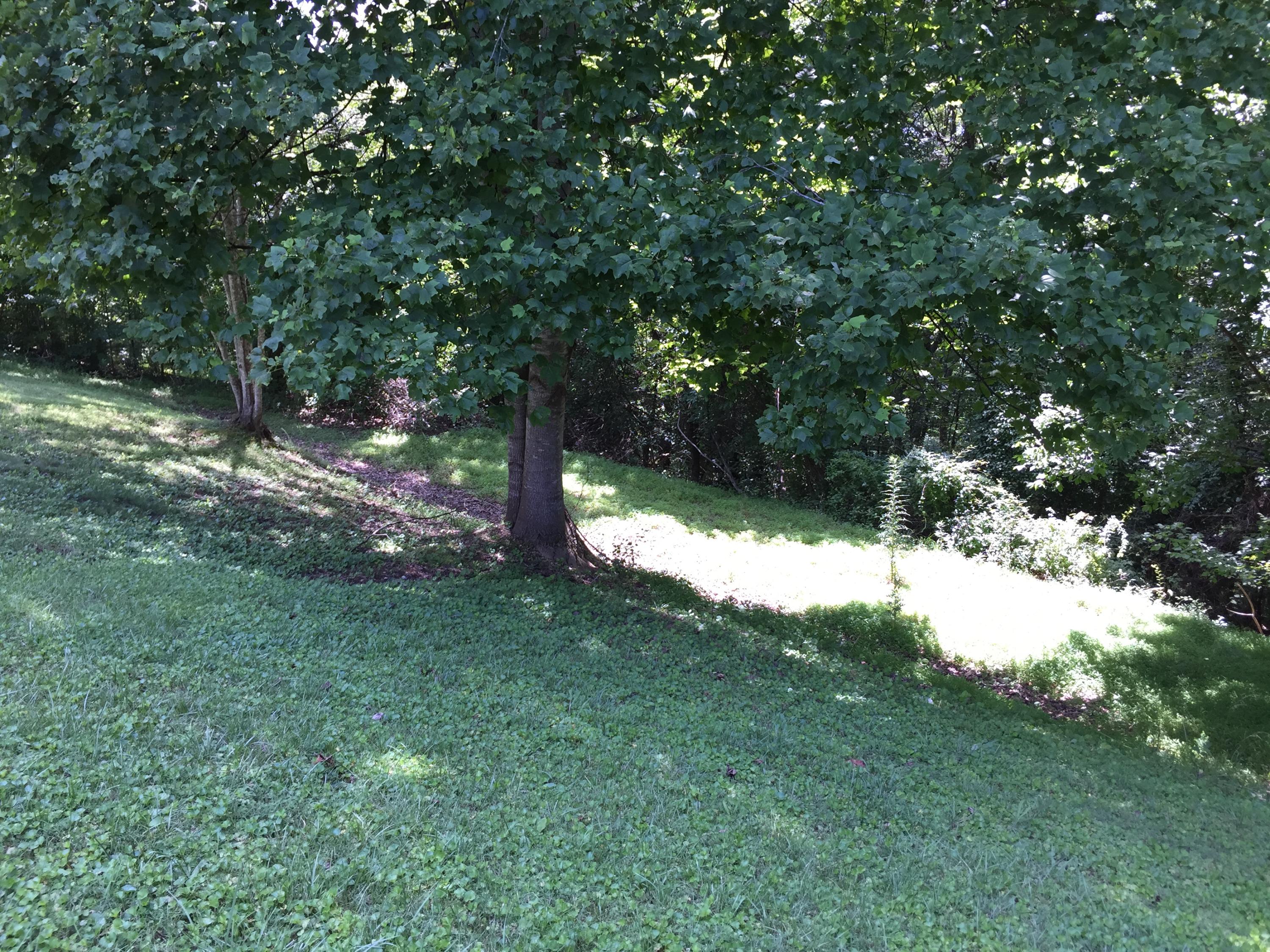 543 Stephens Road Rocky Top, TN 37769 - Photo 29 of 29 Backyard