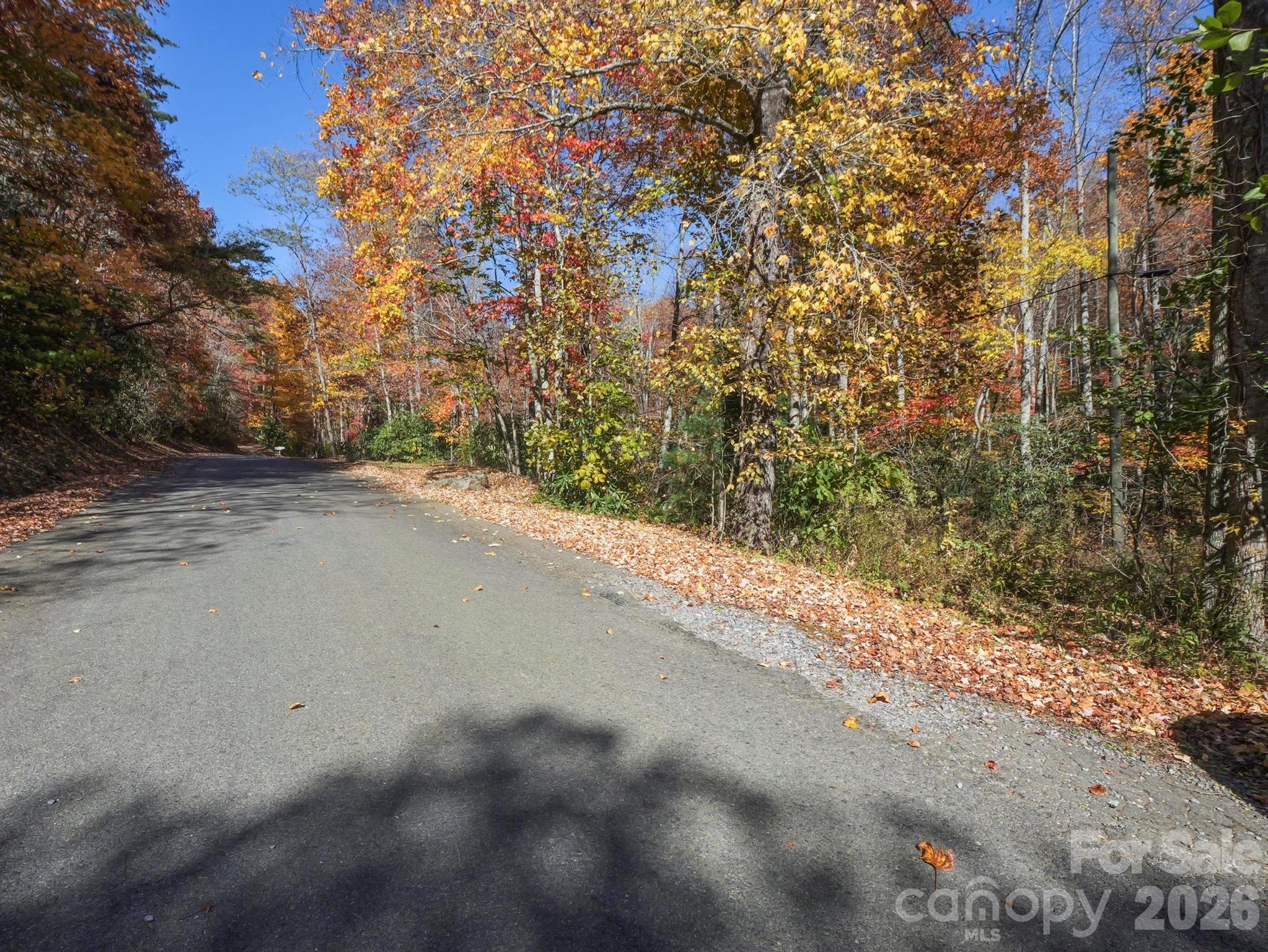 Tbd Long Branch Road Swannanoa, NC 28778 - Photo 13 of 18