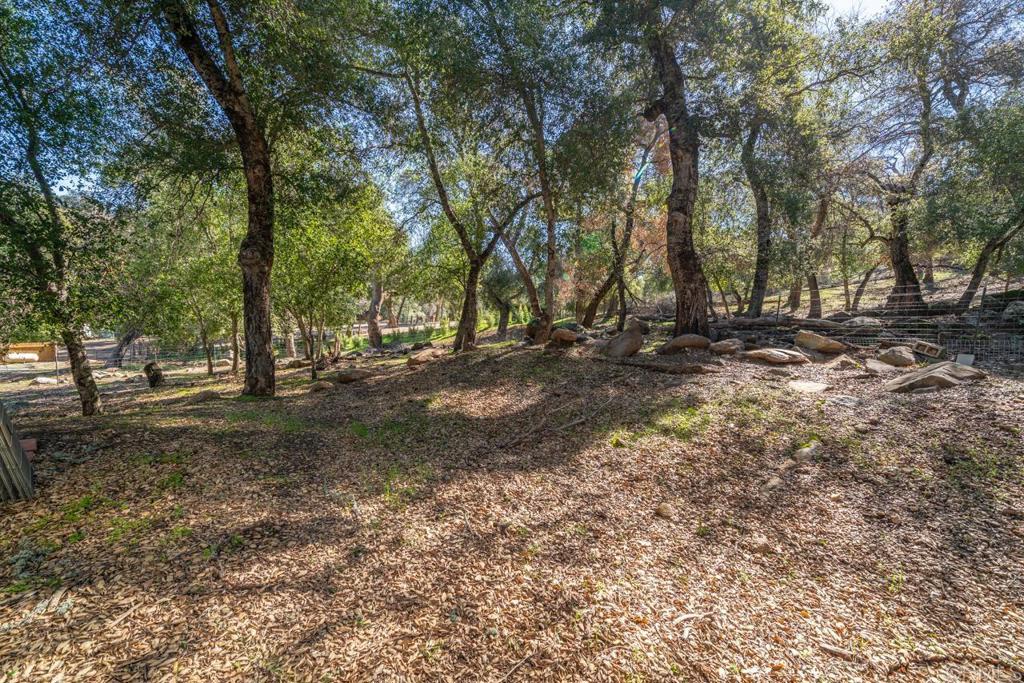 26352 Eagle Gap Road Santa Ysabel, CA 92070 - Photo 38 of 52 a view of dirt yard with a tree