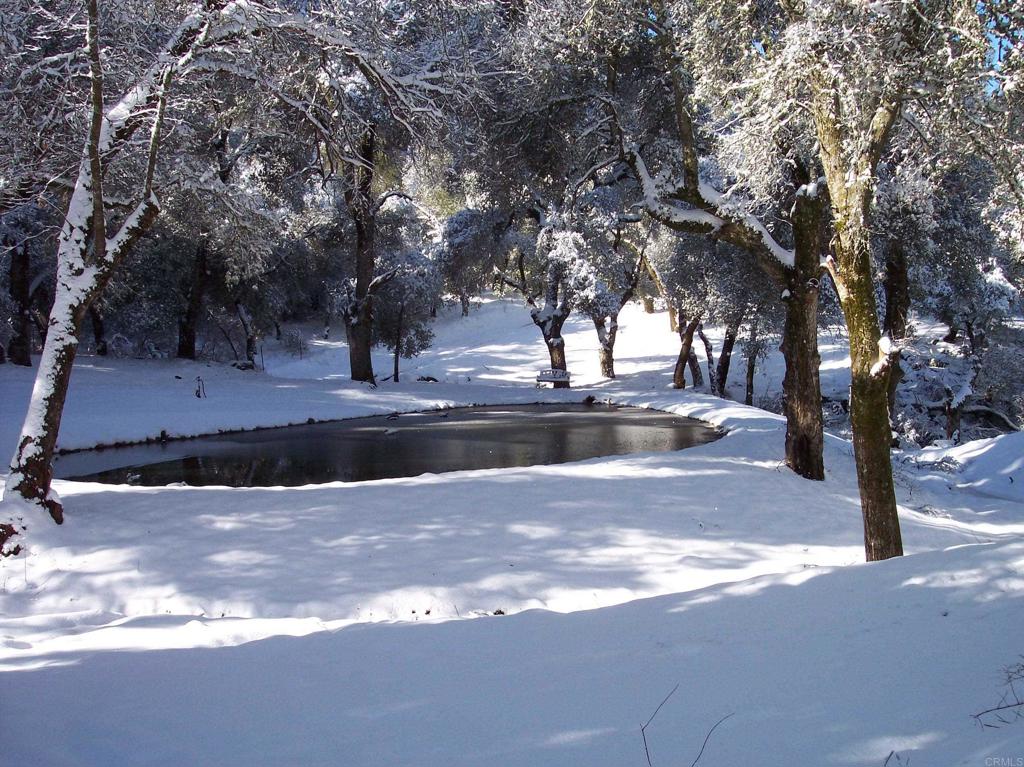 26352 Eagle Gap Road Santa Ysabel, CA 92070 - Photo 50 of 52 a view of street with trees