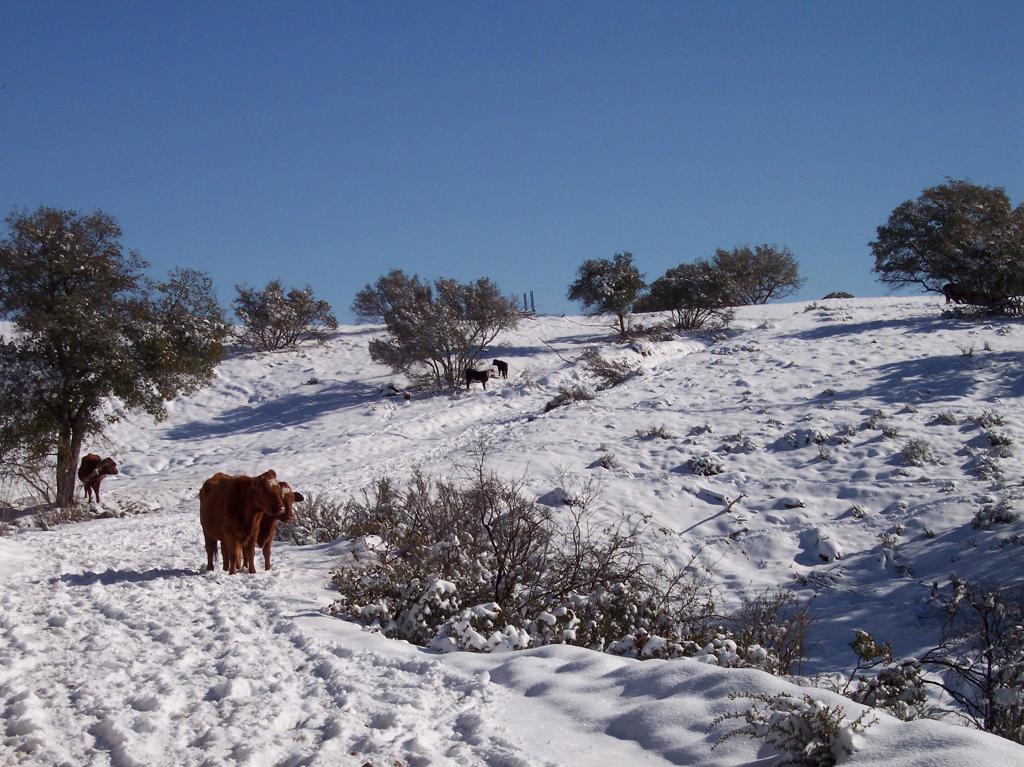 26352 Eagle Gap Road Santa Ysabel, CA 92070 - Photo 51 of 52