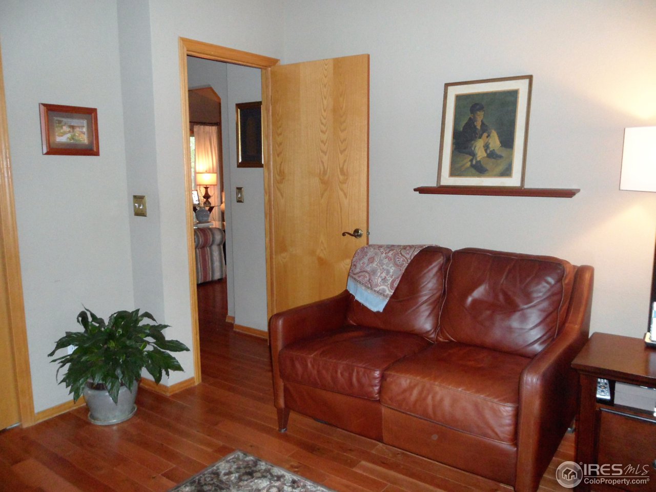 724 Wade Road Longmont, CO 80503 - Photo 15 of 32 a living room with furniture potted plant and wooden floor