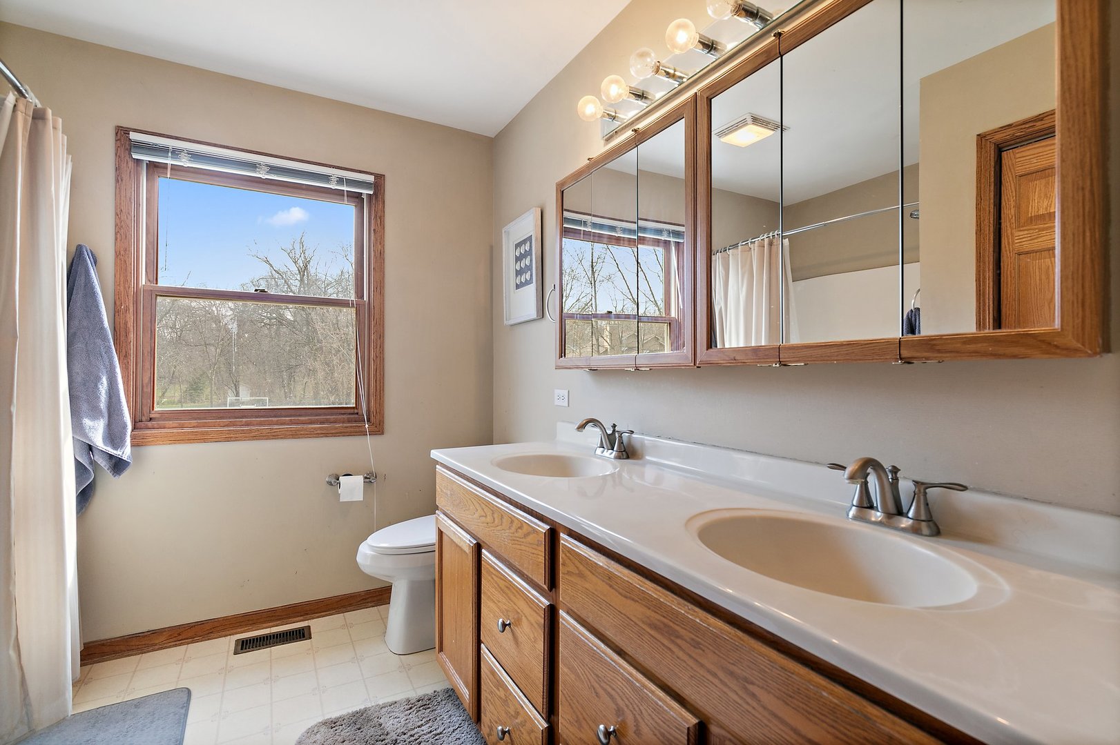 8911 Burton Road Wonder Lake, IL 60097 - Photo 22 of 35 a bathroom with a sink a mirror a toilet and a window