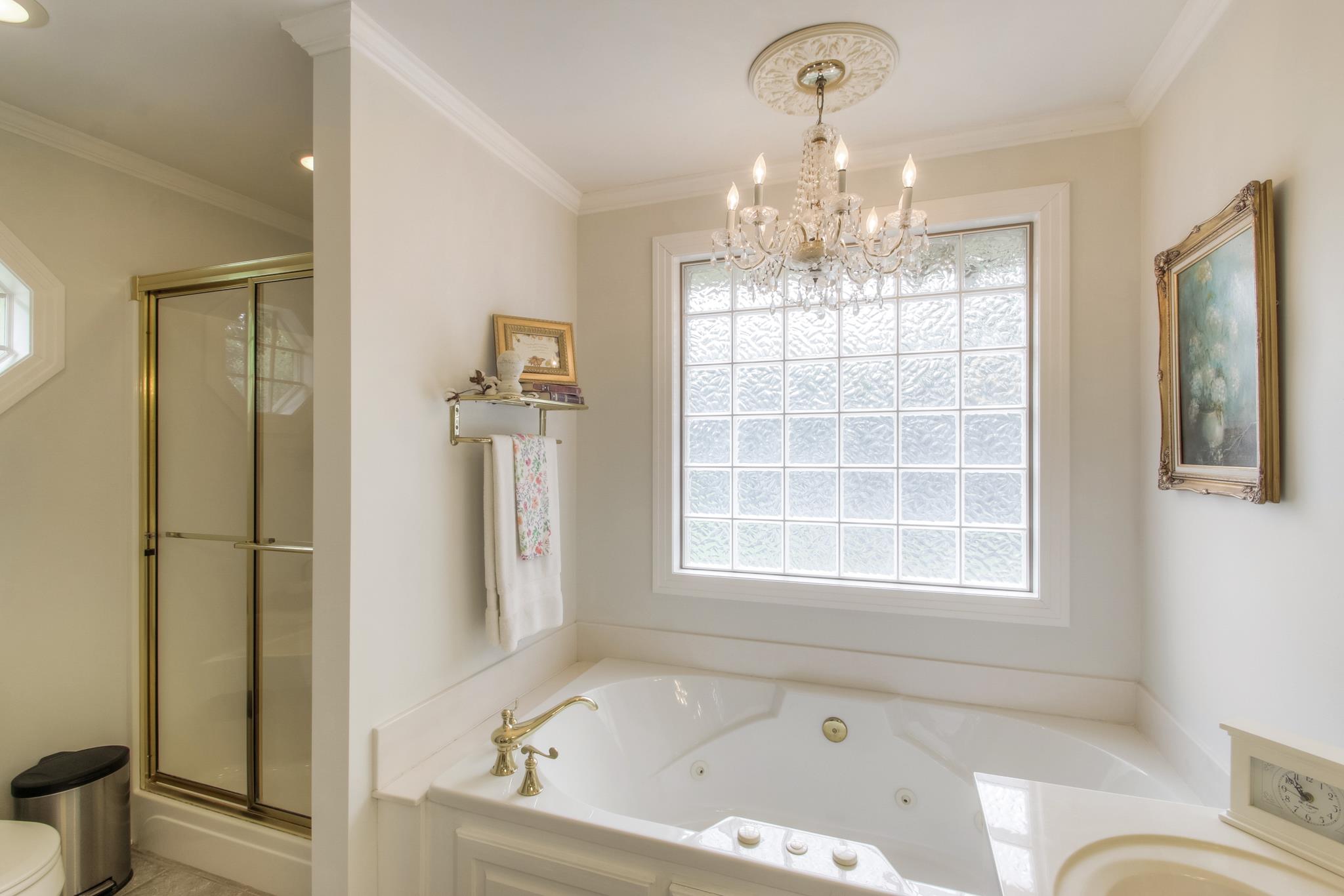 1160 Vanderbilt Road Mount Juliet, TN 37122 - Photo 15 of 28 a bathroom with a tub shower and window