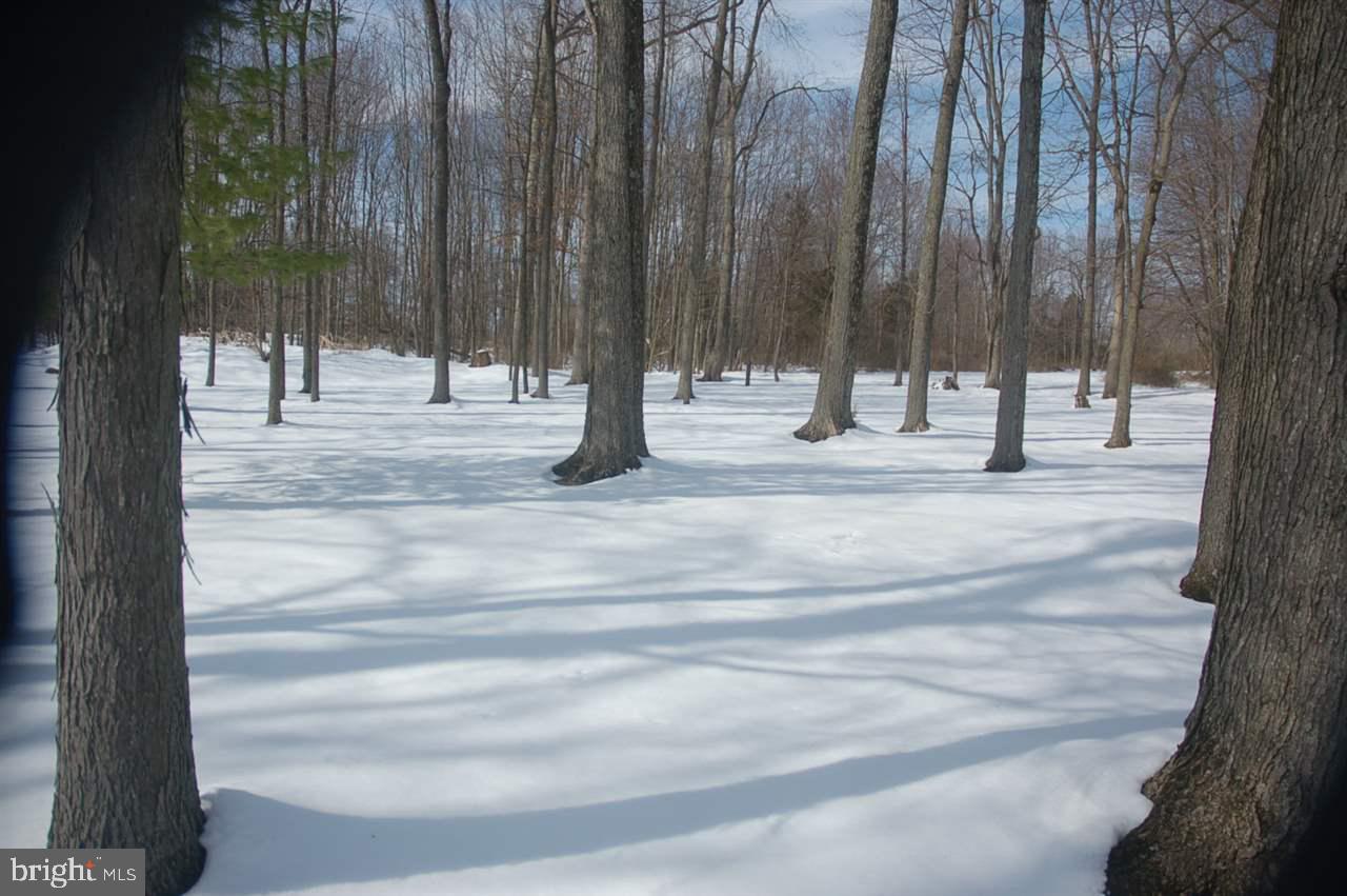 325 Woods Road Abbottstown, PA 17301 - Photo 25 of 35 Gallery Image 25