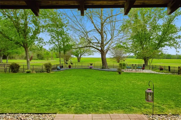 a view of a park with large trees