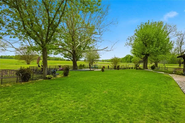a view of a park with large trees