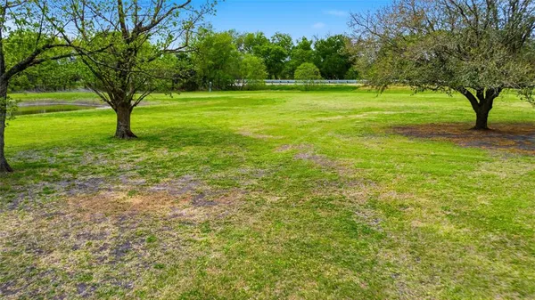 a view of a field with a tree