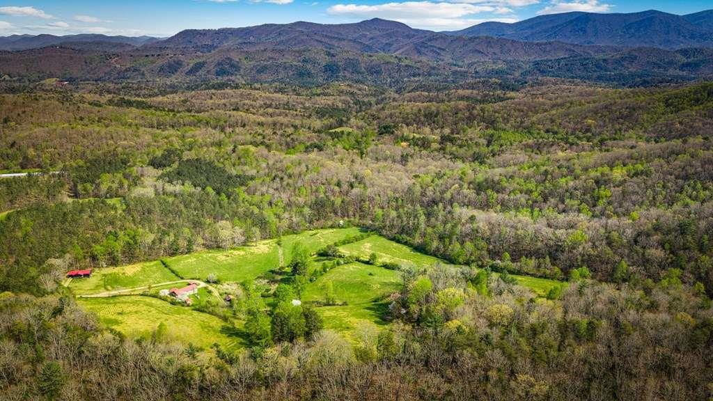 384 Maxwell Road Blue Ridge, GA 30513 - Photo 51 of 68
