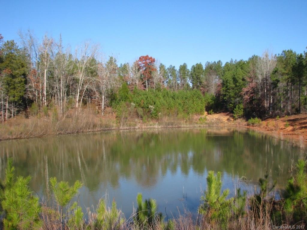 113-ac 113-ac Goings Road Chester, SC 29706 - Photo 1 of 15 a view of a lake with a mountain in the background