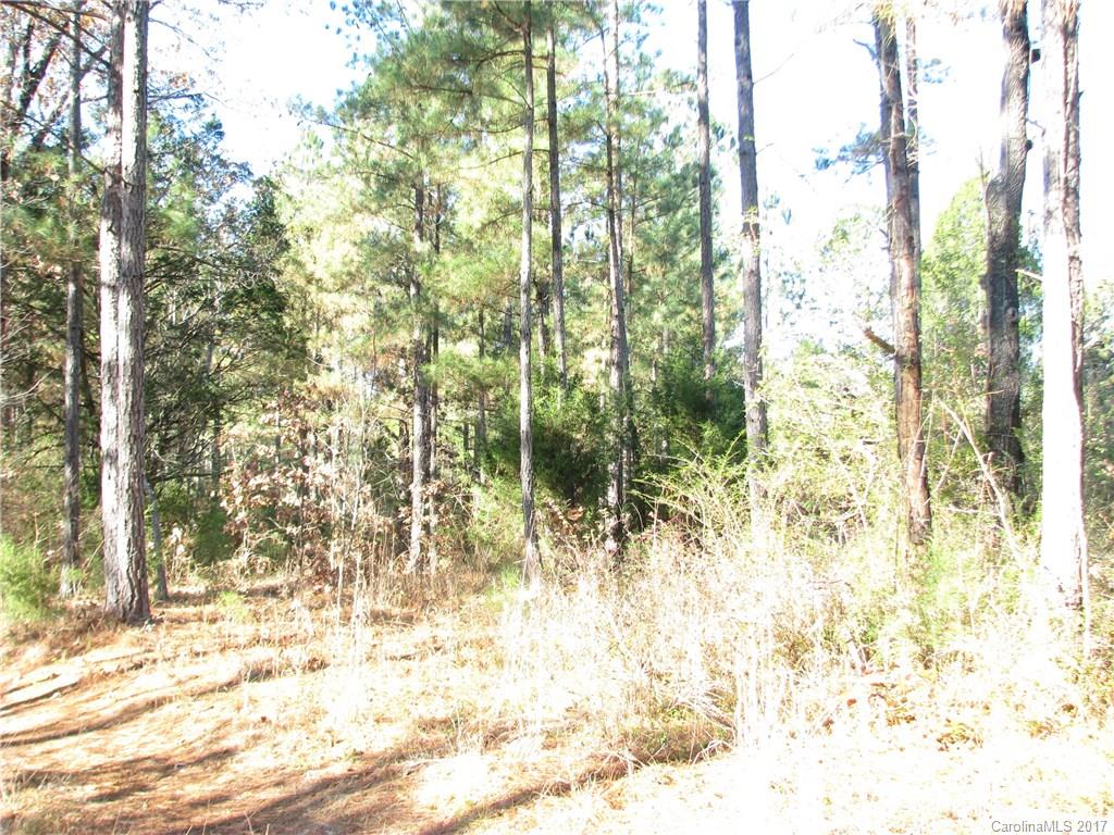 113-ac 113-ac Goings Road Chester, SC 29706 - Photo 11 of 15 a view of yard