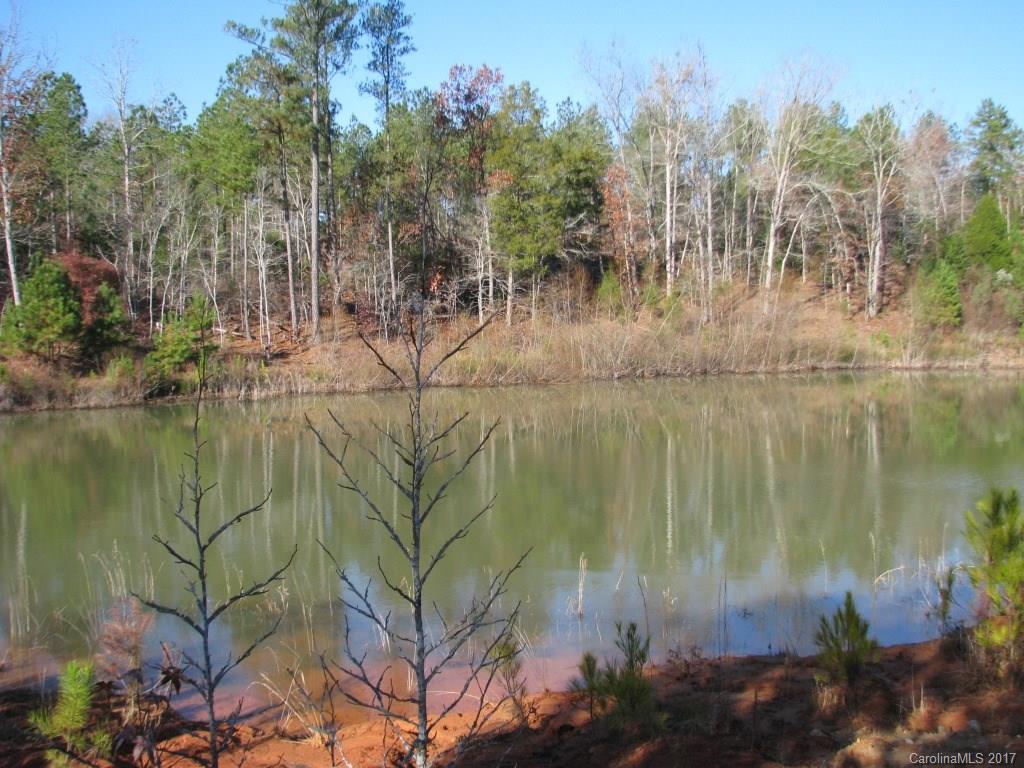 113-ac 113-ac Goings Road Chester, SC 29706 - Photo 12 of 15 a view of lake with green space