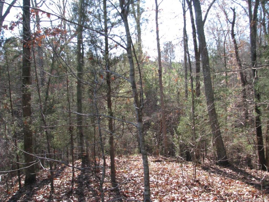113-ac 113-ac Goings Road Chester, SC 29706 - Photo 4 of 15 a view of a forest with trees