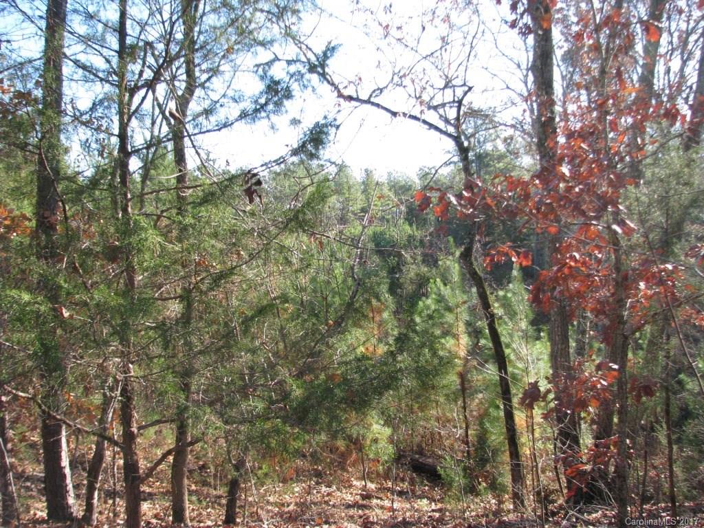 113-ac 113-ac Goings Road Chester, SC 29706 - Photo 5 of 15 a view of a forest with lots of trees
