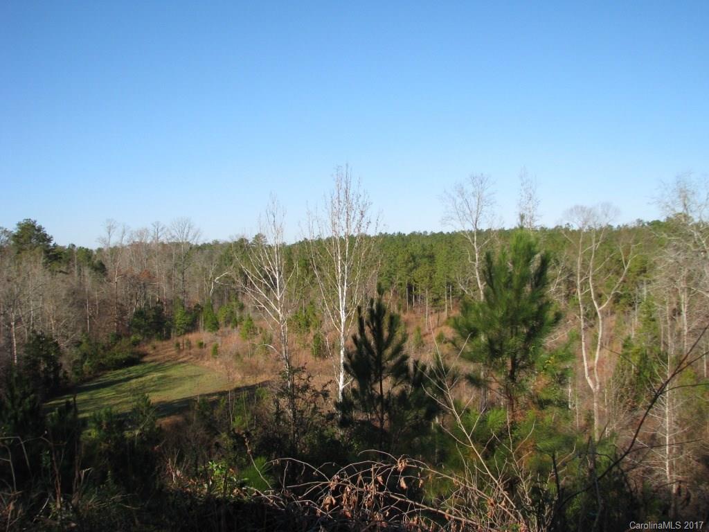 113-ac 113-ac Goings Road Chester, SC 29706 - Photo 6 of 15 a view of a bunch of trees and bushes