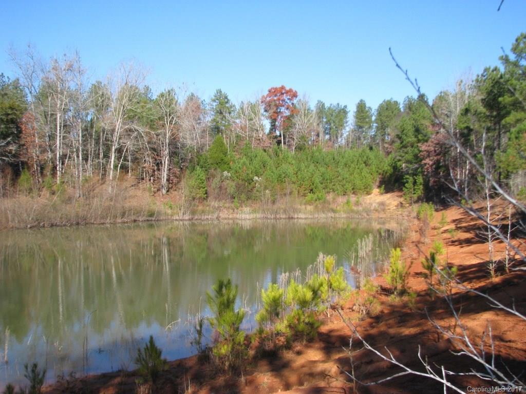 113-ac 113-ac Goings Road Chester, SC 29706 - Photo 10 of 15 a view of a lake with a mountain and a lake view