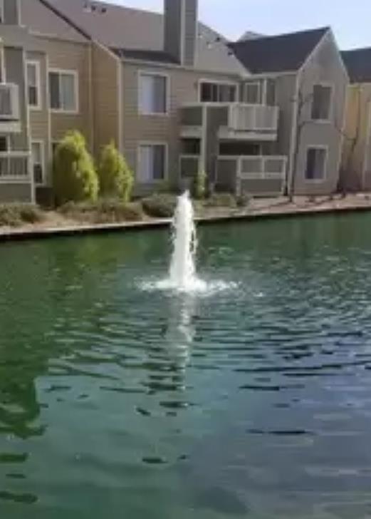 215 Reflections Drive, Unit 15 San Ramon, CA 94583 - Photo 13 of 14 a view of pool of water with outdoor space