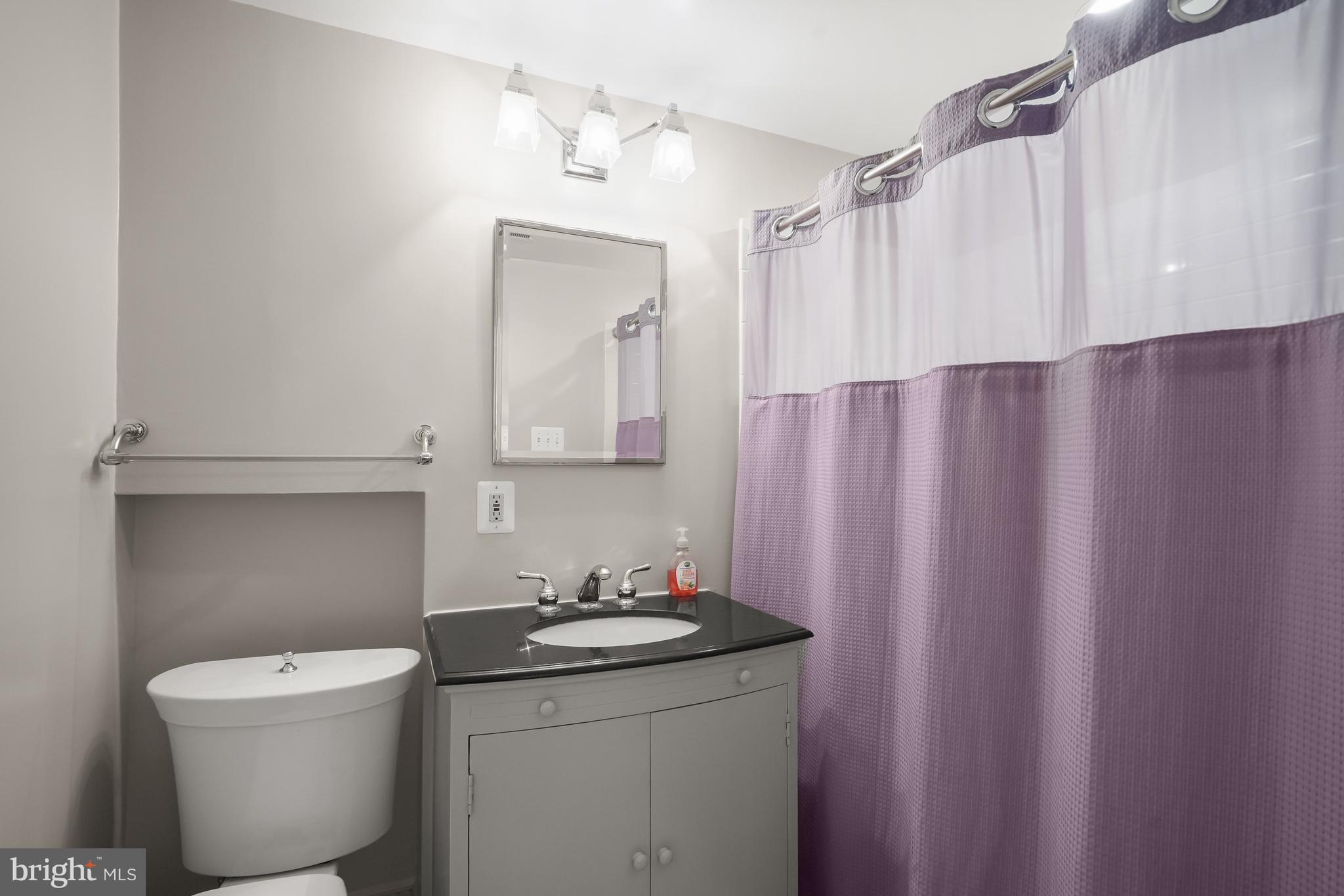 1716 Q Street Northwest Washington, DC 20009 - Photo 33 of 47 Lower Level Bathroom