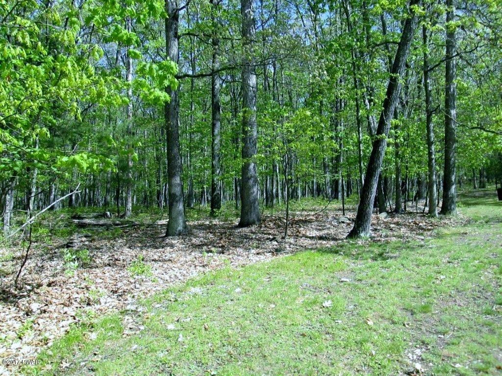 1933 Rt 590 Hawley, PA 18428 - Photo 6 of 40