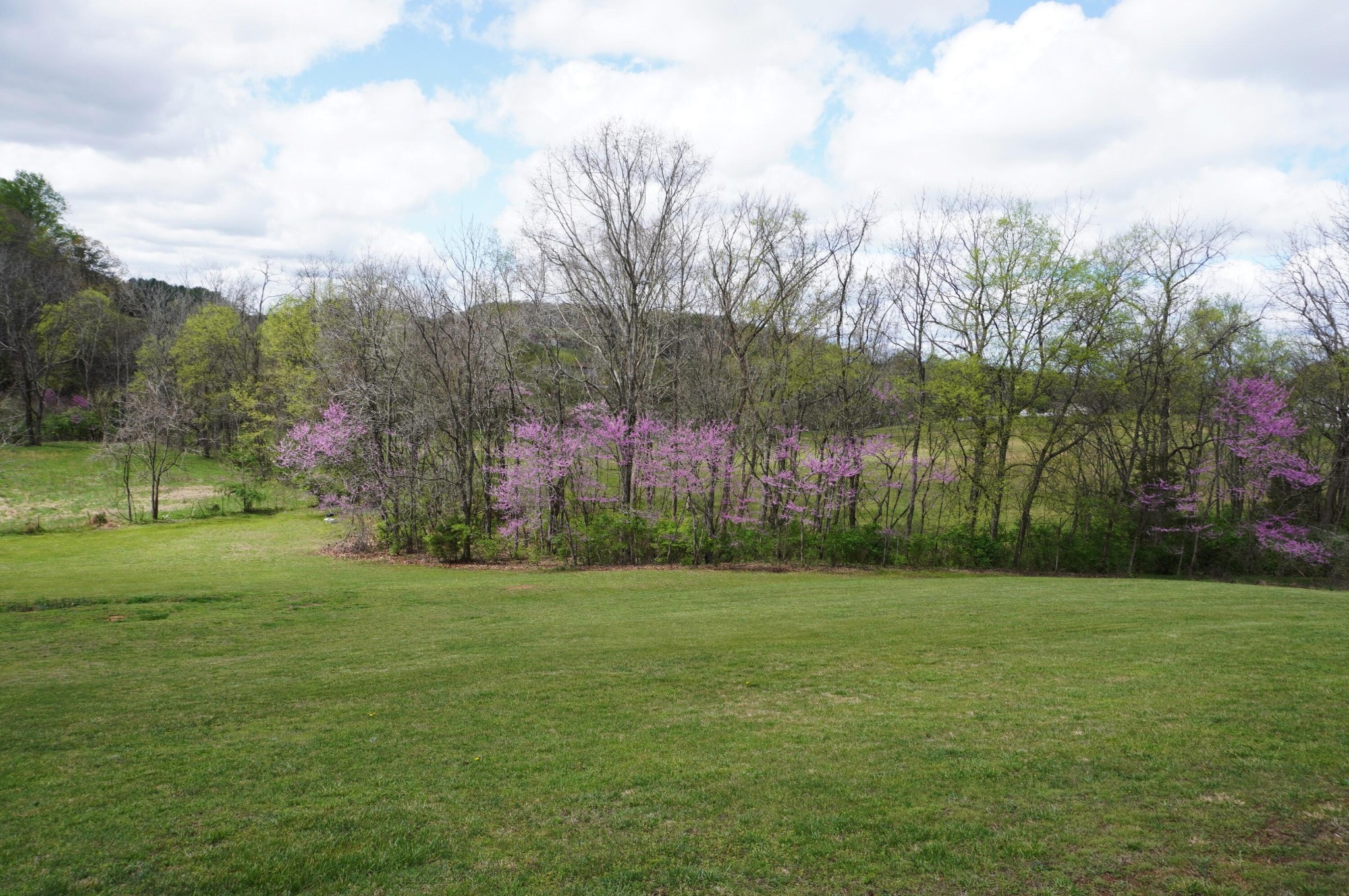 1301 Pratt Road Talbott, TN 37877 - Photo 12 of 31 Gallery Image 12