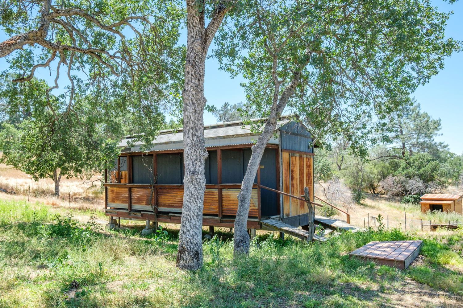 37667 Eagle Drive Raymond, CA 93653 - Photo 32 of 43 a view of backyard with a barn and large trees