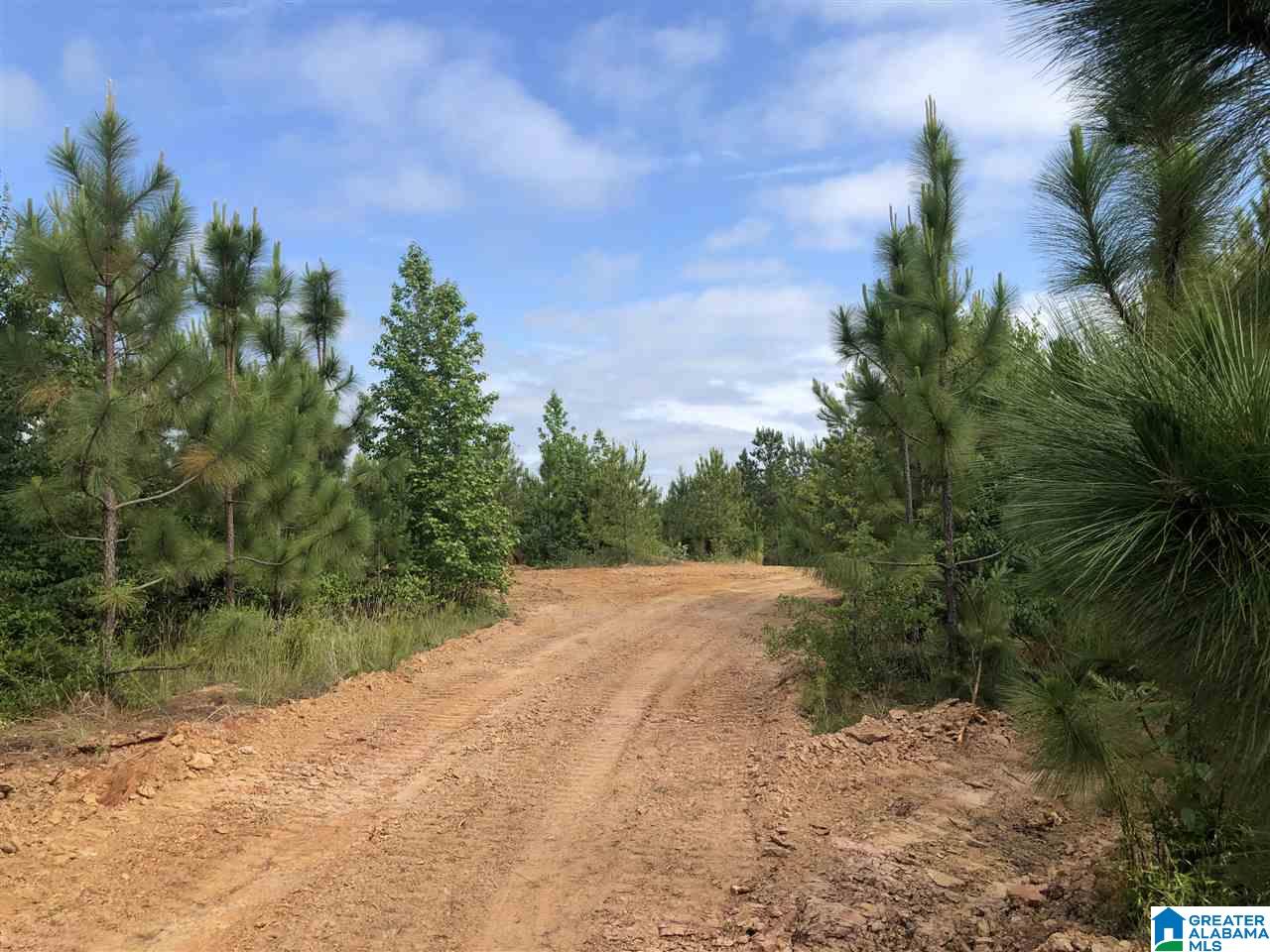 119-acres Double Branch Road, Unit 119 ACRES Marion, AL 36756 - Photo 25 of 26