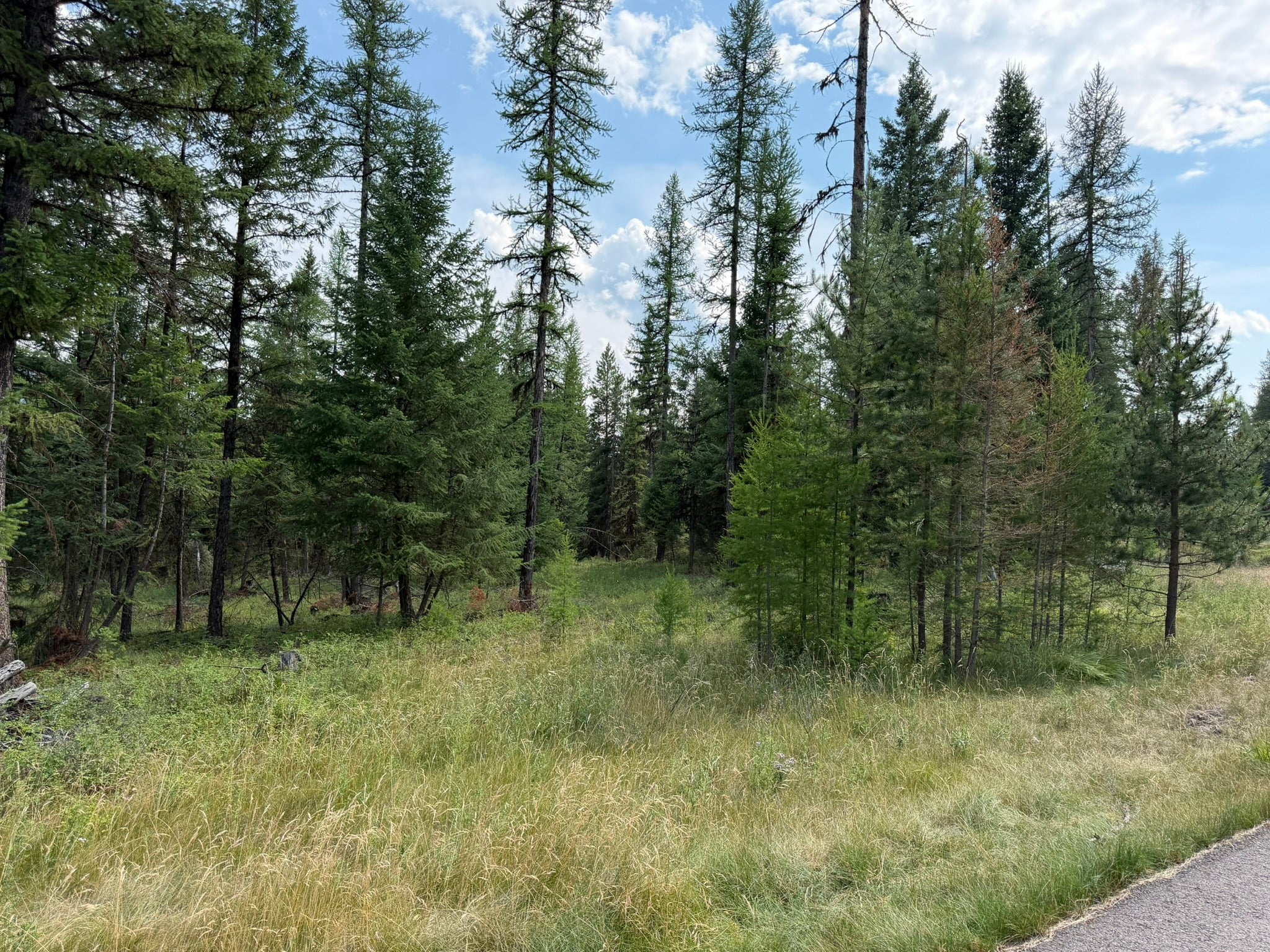 517 Haskill Rnch Road Kila, MT 59920 - Photo 20 of 26 Gallery Image 20